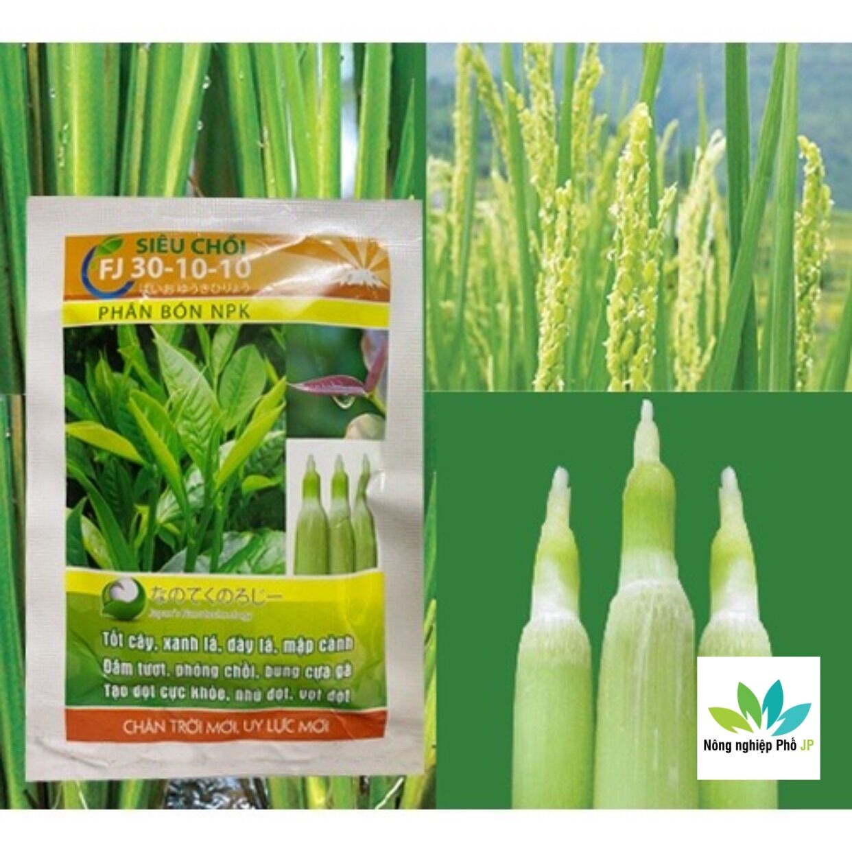 Phân bón npk siêu chồi fj 30-10-10 nhật bản 25gr