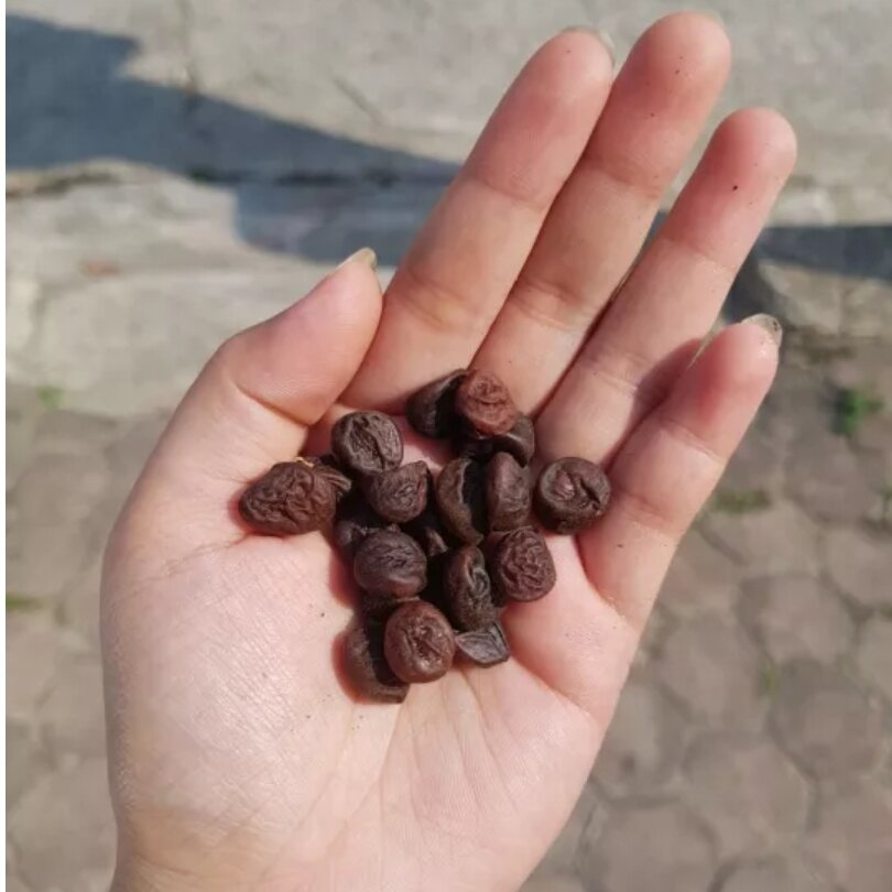 Com bo hạt dổi, mắc khén
