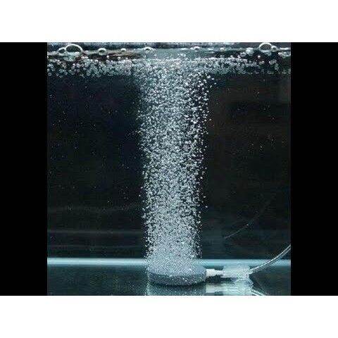 đĩa sủi oxy siêu mịn, đĩa sủi đá 4cm
