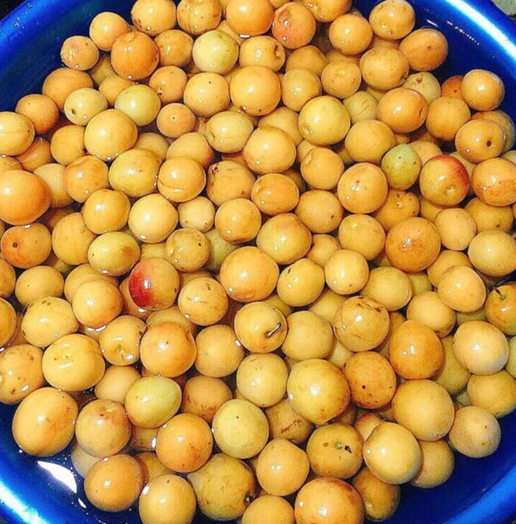 Mơ Ngâm Đường Phèn Hũ 1 kg