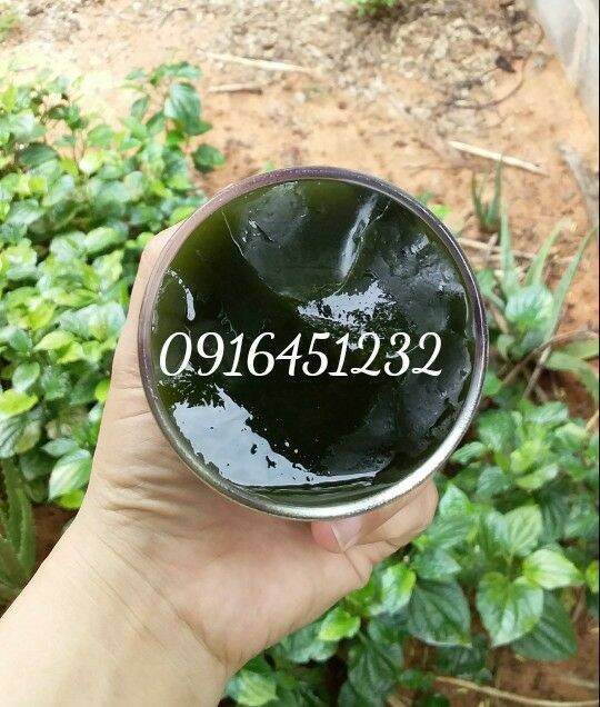 1 kg (10 gói) lá sương sâm lông khô tặng bột nang mực