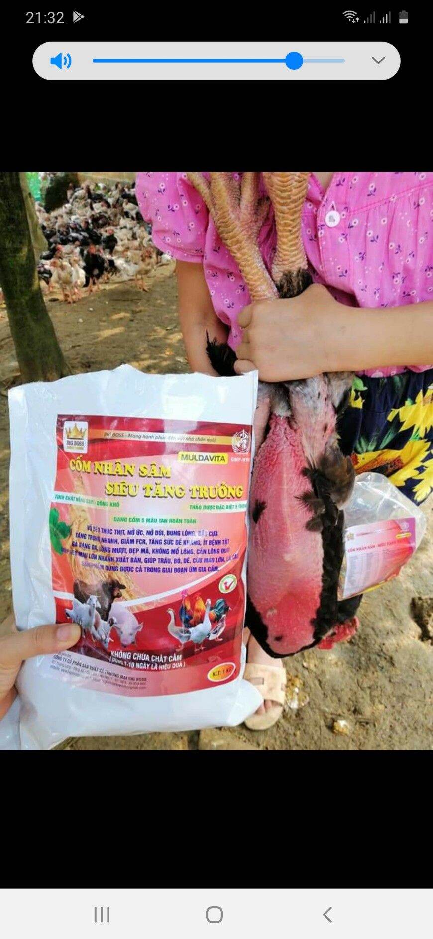 CỐM NHÂN SÂM SIÊU TĂNG TRƯỞNG CHO GÀ VỊT HEO DÊ