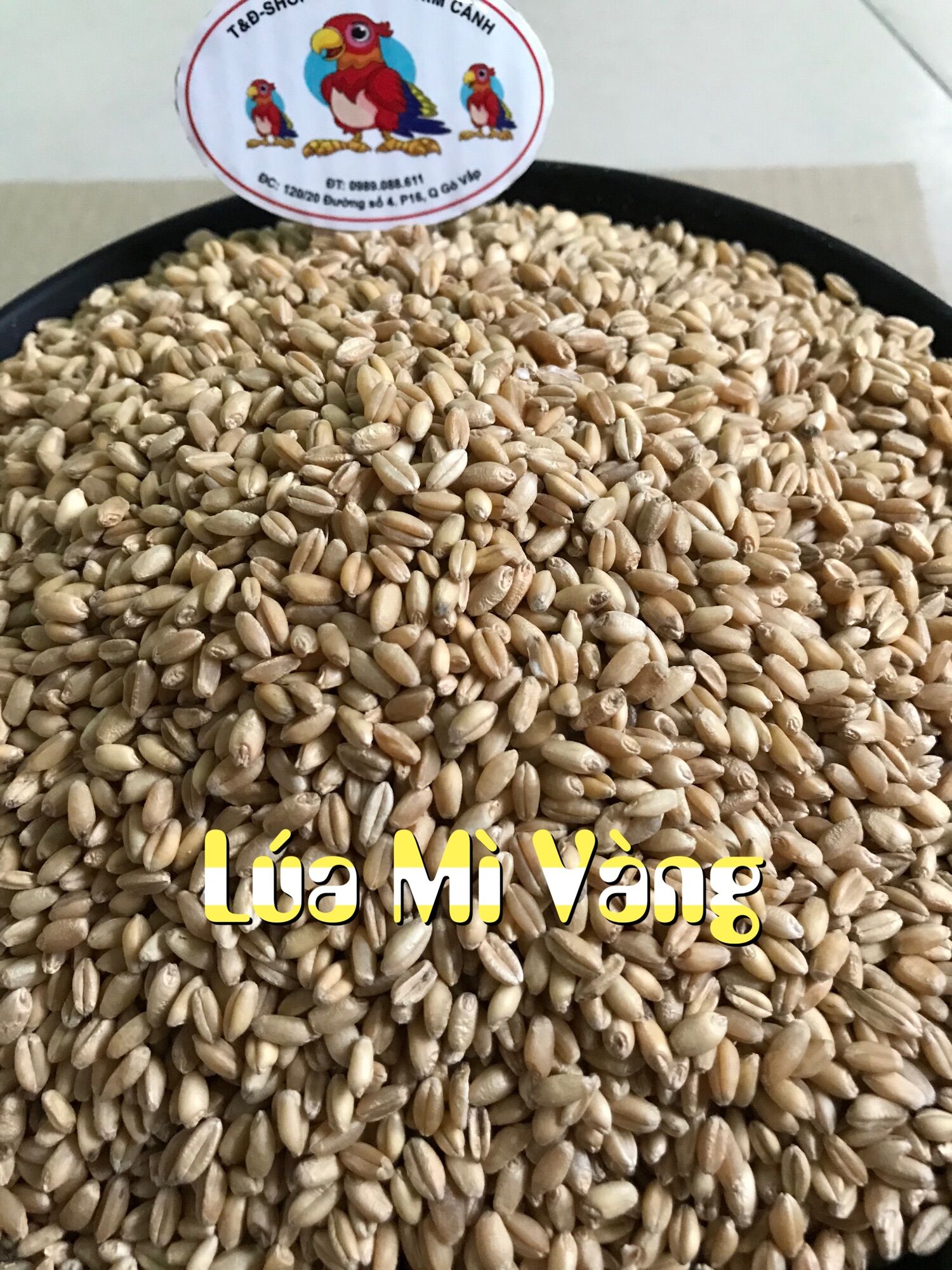Hạt Lúa mì vàng Thức ăn gia cầm
