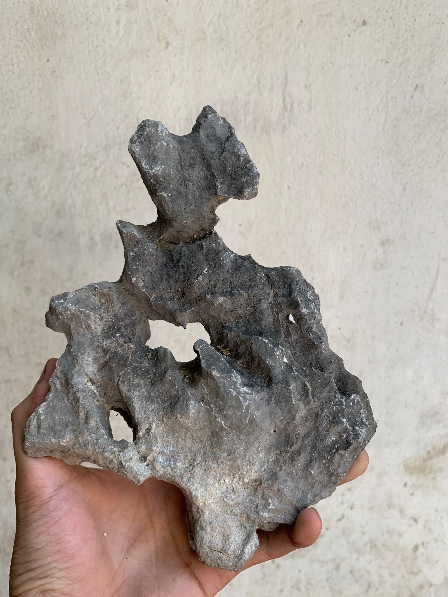 Đá kí cây cảnh bonsai