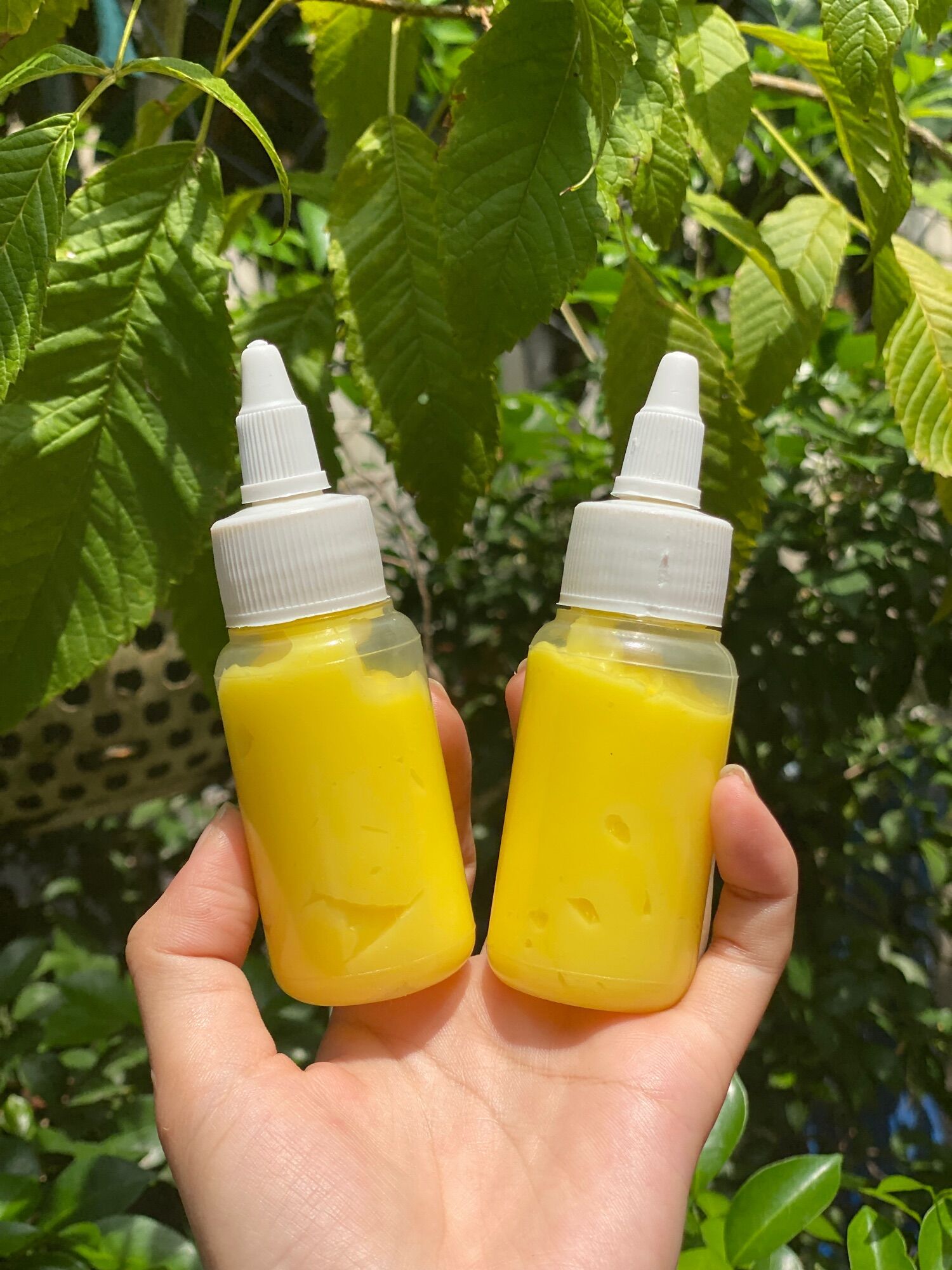 Bơ trứng béo ngậy bán kèm