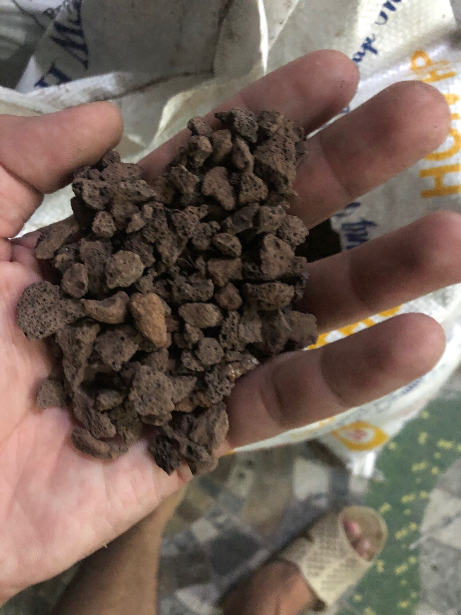 [HCM][ DỤNG CỤ LỌC BỂ CÁ ] Đá nham thạch lọc nước hồ cá  vật liệu lọc giá rẻ