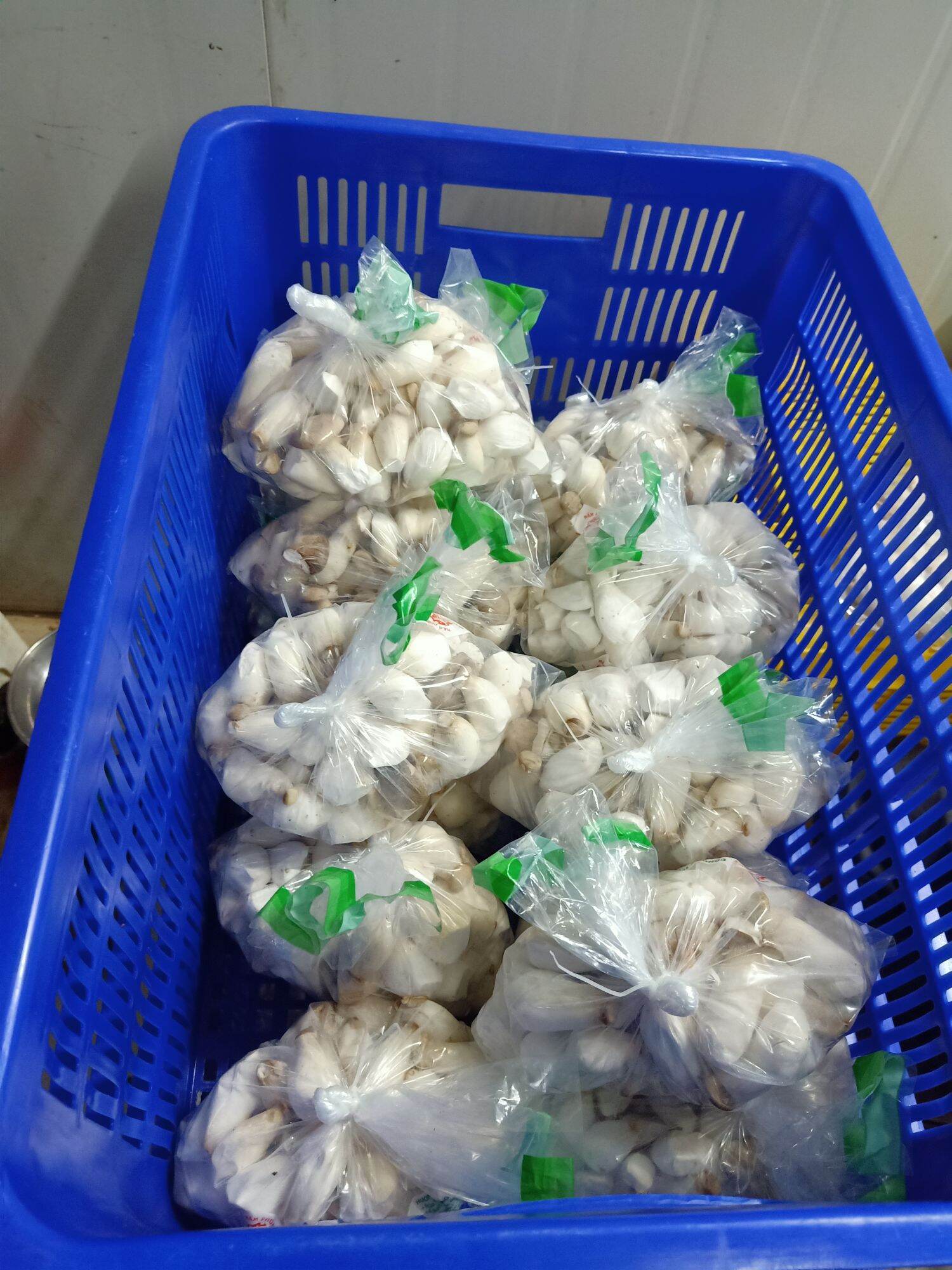 nấm đùi gà Vĩnh Phúc là hàng rau sạch không sử dụng hóa chất tại Việt Nam 🇻🇳 . hàng Việt Nam  chất lượng cao phục vụ cho ăn uống , nấu lẩu , xào nấu, luộc , kho , nướng .chiên ....  chế biến thực phẩm ăn chay cho nhà sư , chùa chiền..