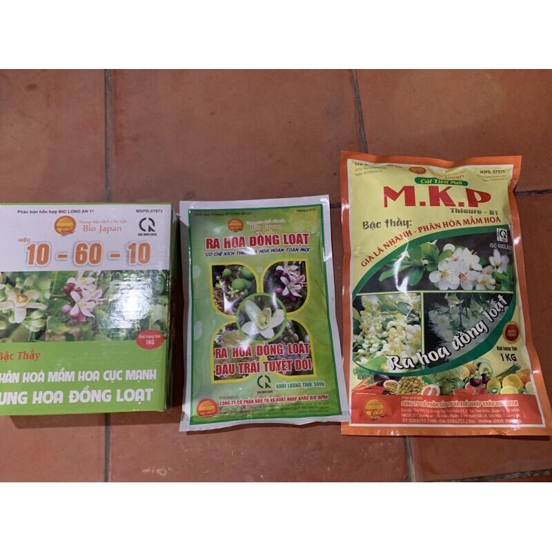 Bộ làm bông mít