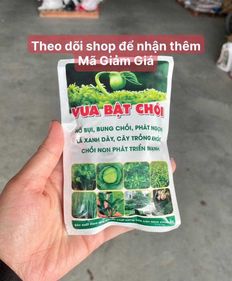 Phân bón Vua Bật Chồi giúp ra đọt đều, vọt đọt thần tốc, xanh lá, nở bụi, phân bón Hoa Mai, Hoa Hồng, cây cảnh
