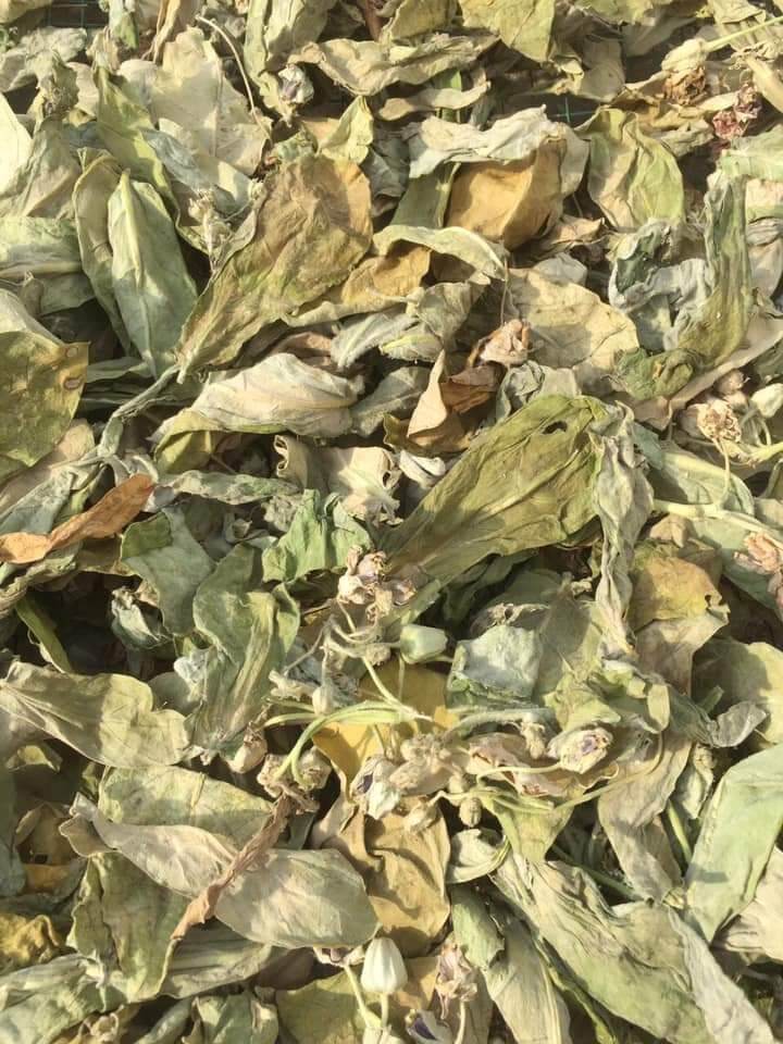 1kg thâ,lá hen khô nhà làm lh 0355276899