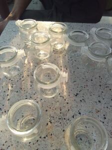 cóng thủy tinh cho chim cảnh chào mào chích chòe...