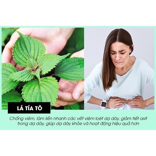 Bột tía tô sấy lạnh hộp 250g