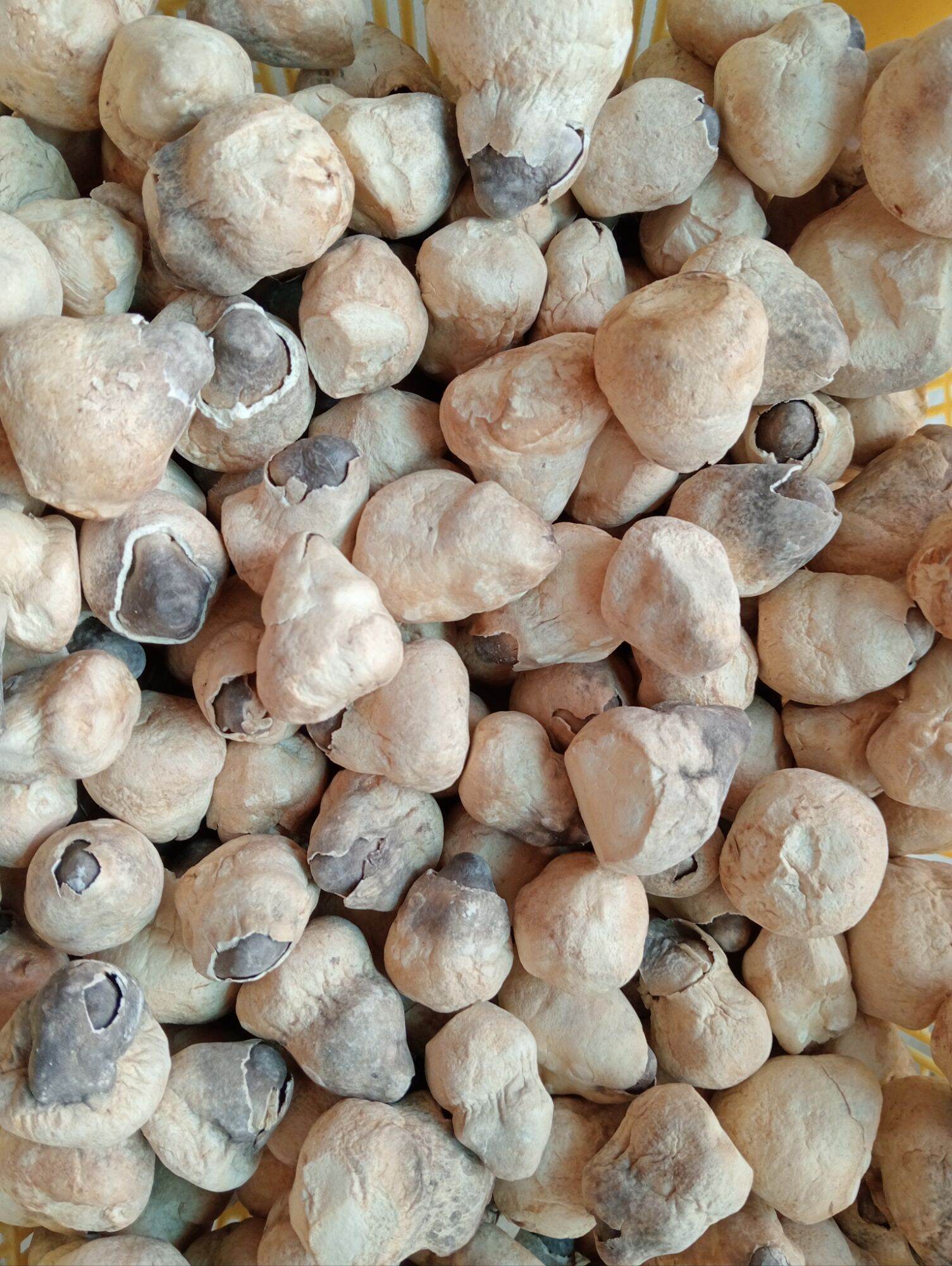 Nấm Rơm Mecco Sấy Thăng Hoa 250g
