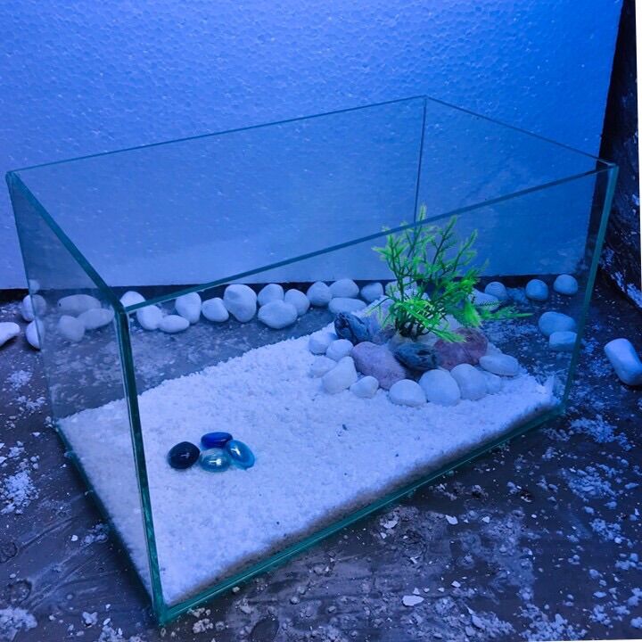 bể cá mini siêu đẹp 30*17*17 kính 5ly
