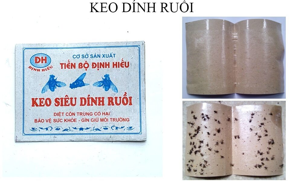 Combo 10 miếng keo dính ruồi Định Hiếu