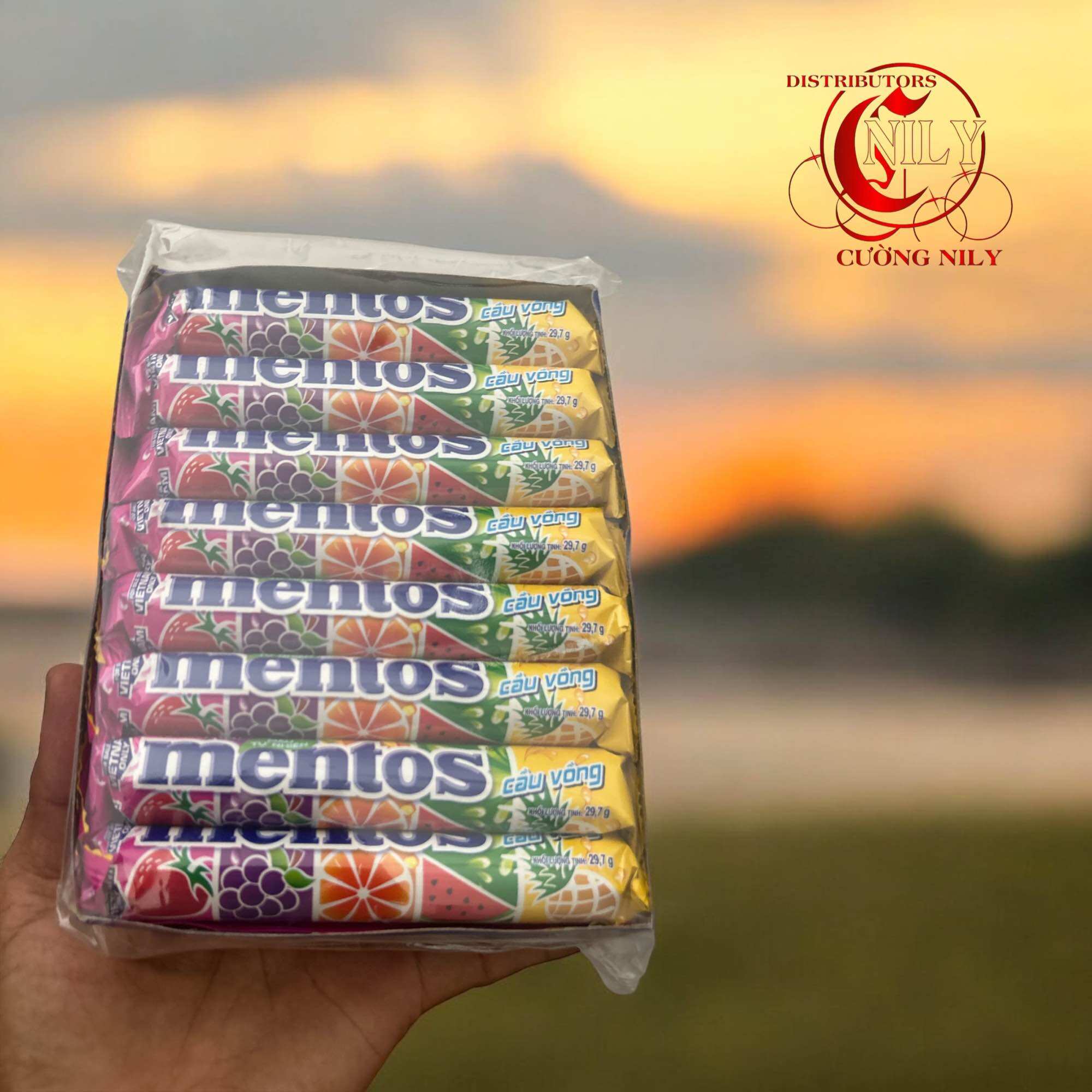 Túi KẸO THỎI MENTOS HƯƠNG BẠC HÀ 16 Thỏi