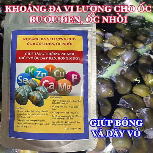 Combo - 1 gói khoáng đa vi lượng 500g và 1 gói men tiêu hoá 100g cho ốc nhồi, ốc bươu đen