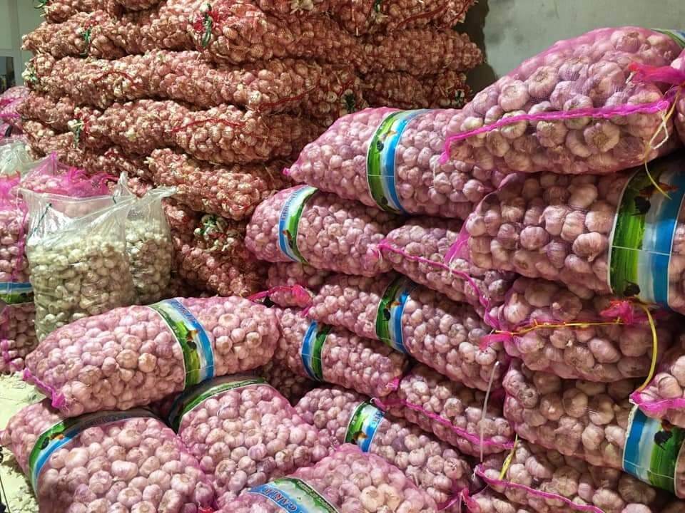 Tỏi lai tía 50k/1kg