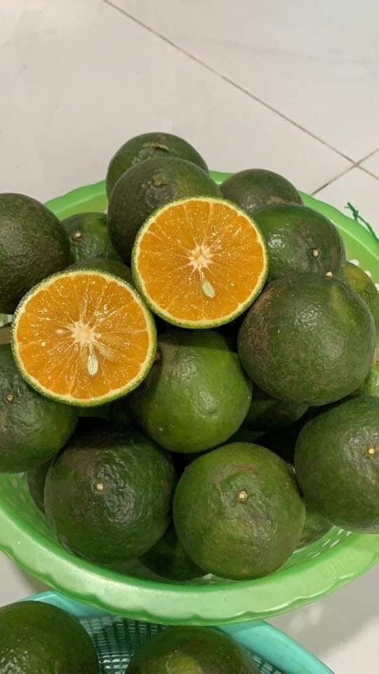 Cam hiếu liêm nhà vườn 35k/1kg