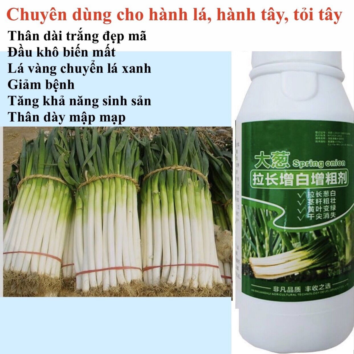 Chế phẩm thúc đẩy nở củ, thân mập mạp, xanh lá 500ml