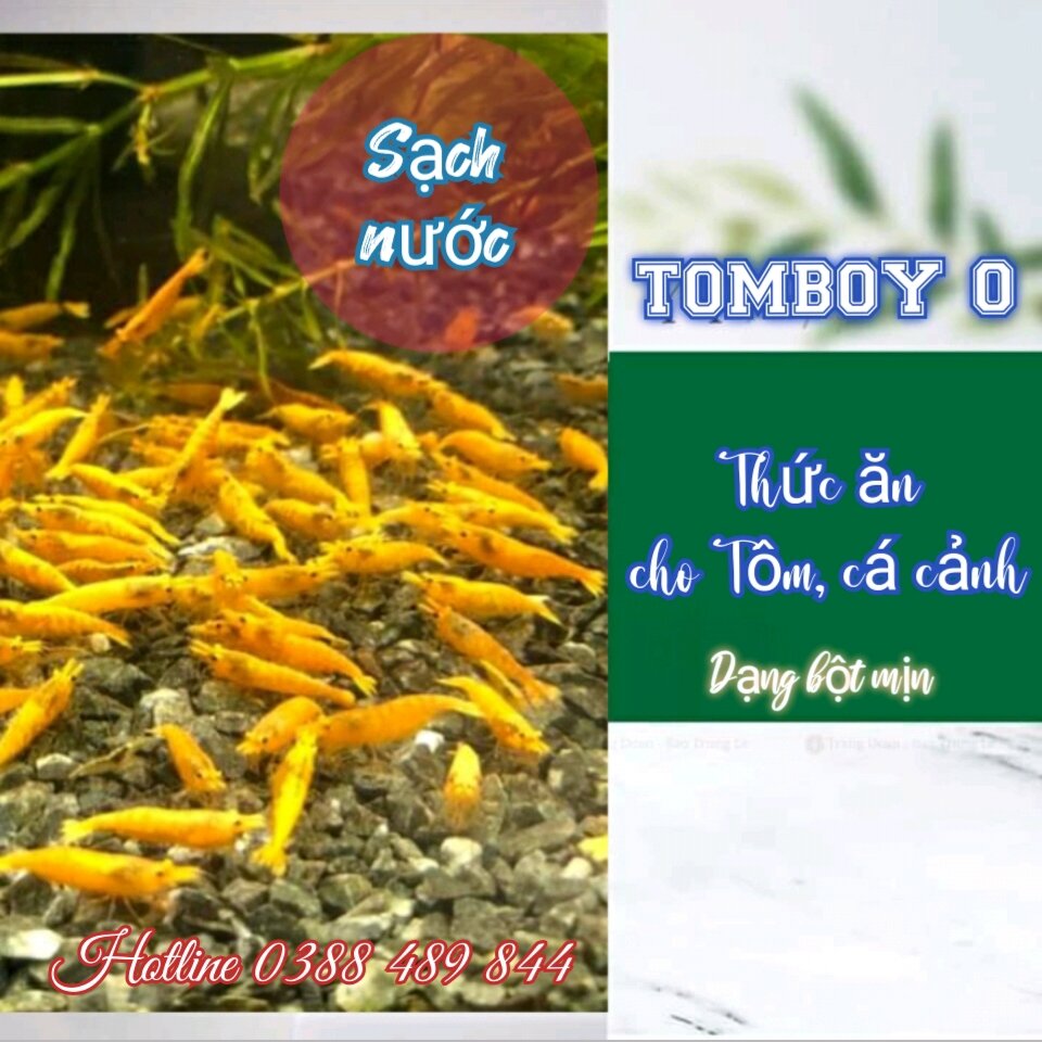 Cám tomboy tb0 dạng bột cho cá con tôm tép cảnh/túi 300g