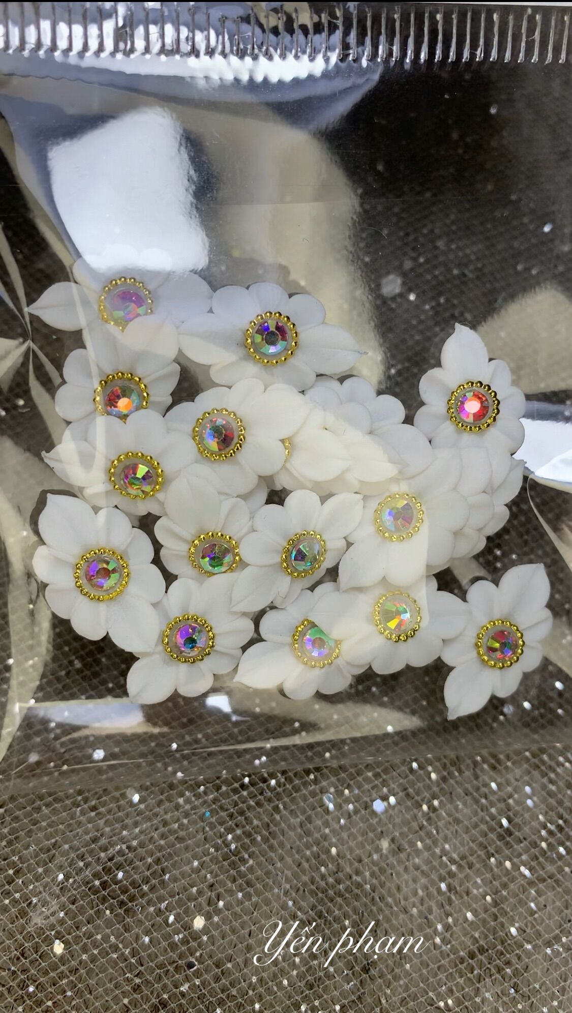 Set 10 hoa bột trang trí móng siêu xinh