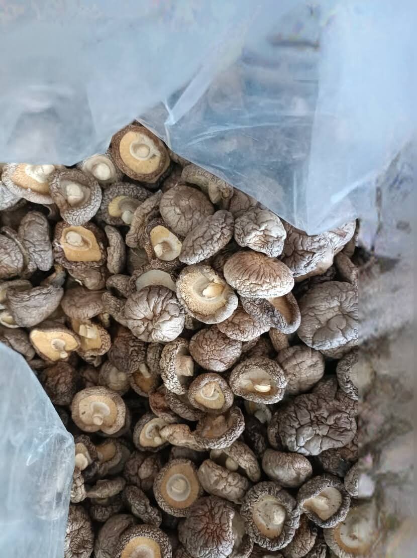 Nấm hương khô ( nấm đông cô khô)- túi 100g