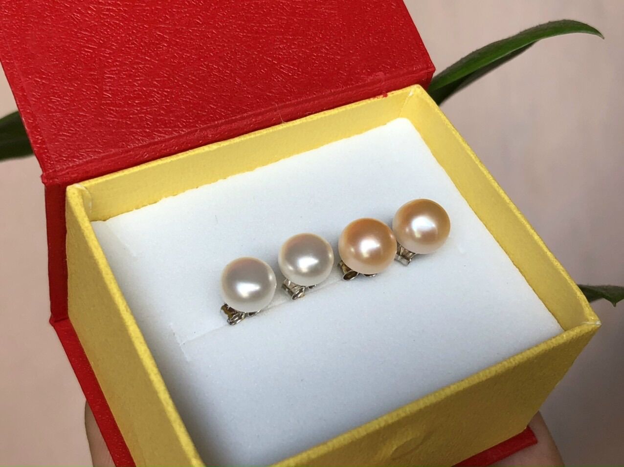 Hoa tai nụ: 200k
