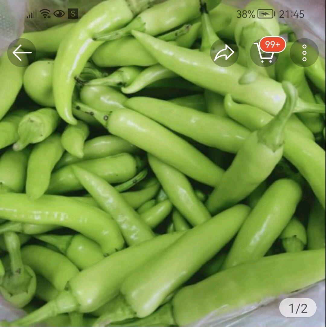 1KG ỚT SỪNG XANH ( ĐẶC SẢN HUẾ )