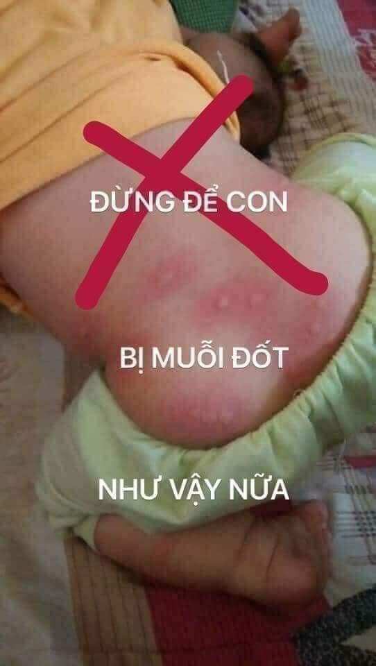Đèn đuổi muỗi Tam Bảo An