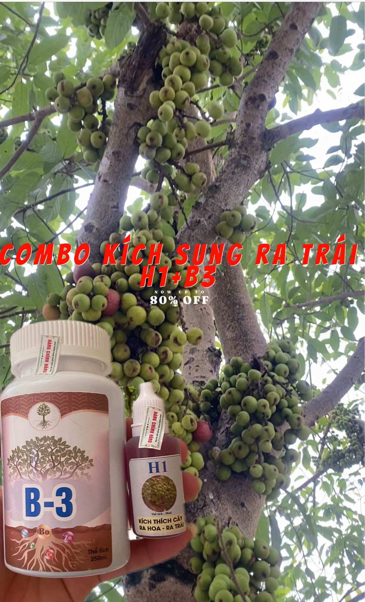 Thuốc kích quả cho các loại cây