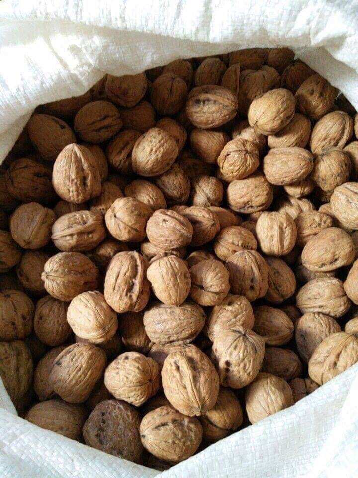 500gr nhân hạt óc chó đỏ nhập khẩu Mỹ