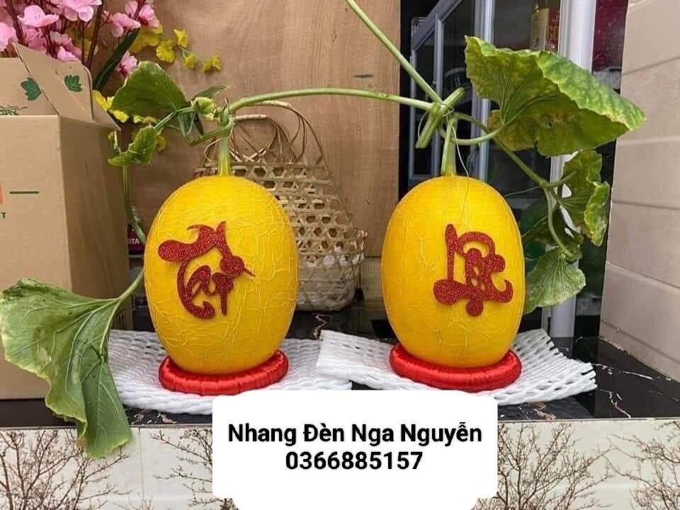 Đế chưng dưa hấu, dừa,bưởi