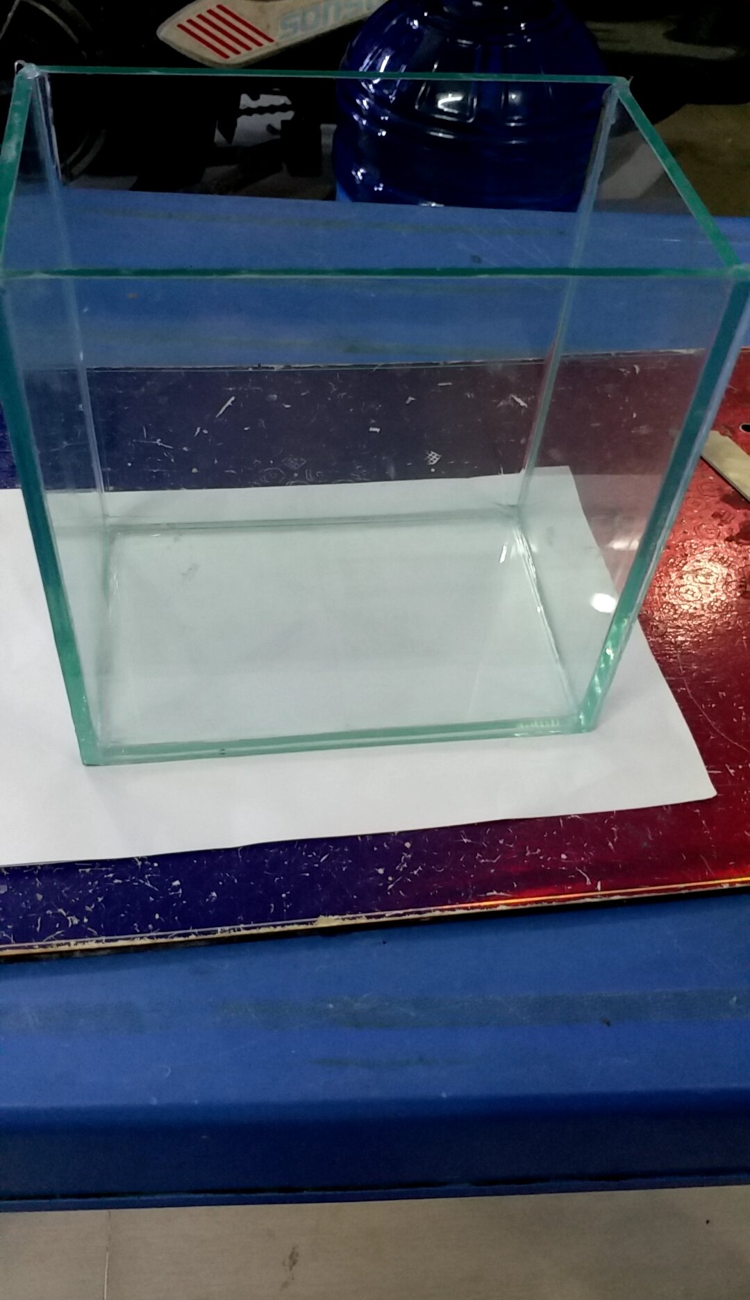 Hồ Cá Guppy D20 . R15.C20