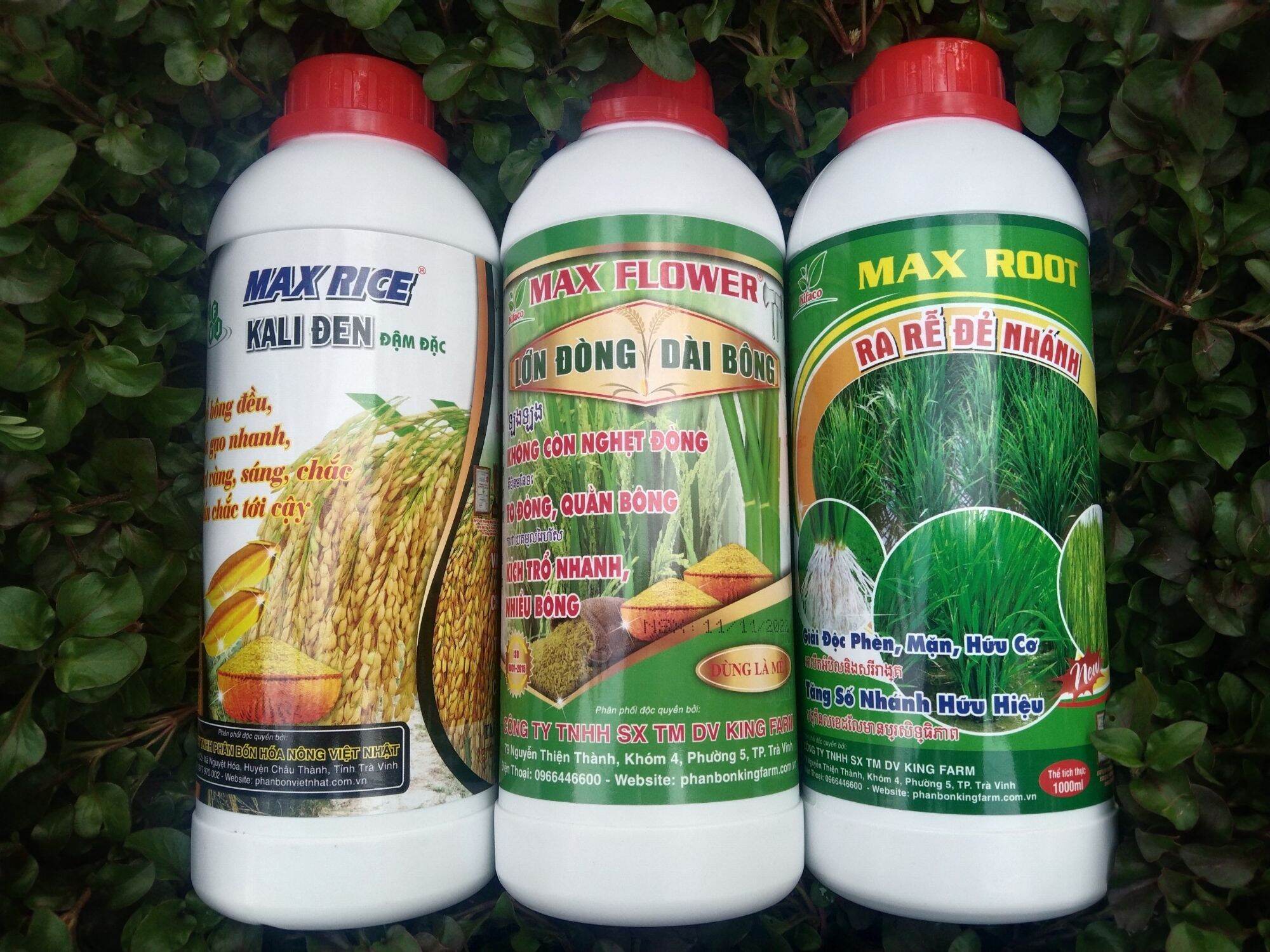 MAX ROOT - RA RỄ ĐẺ NHÁNH - CHAI 1L