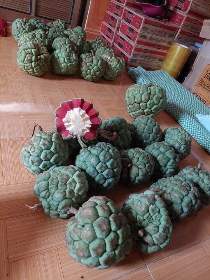 Quả na rừng Tây Bắc (1kg)