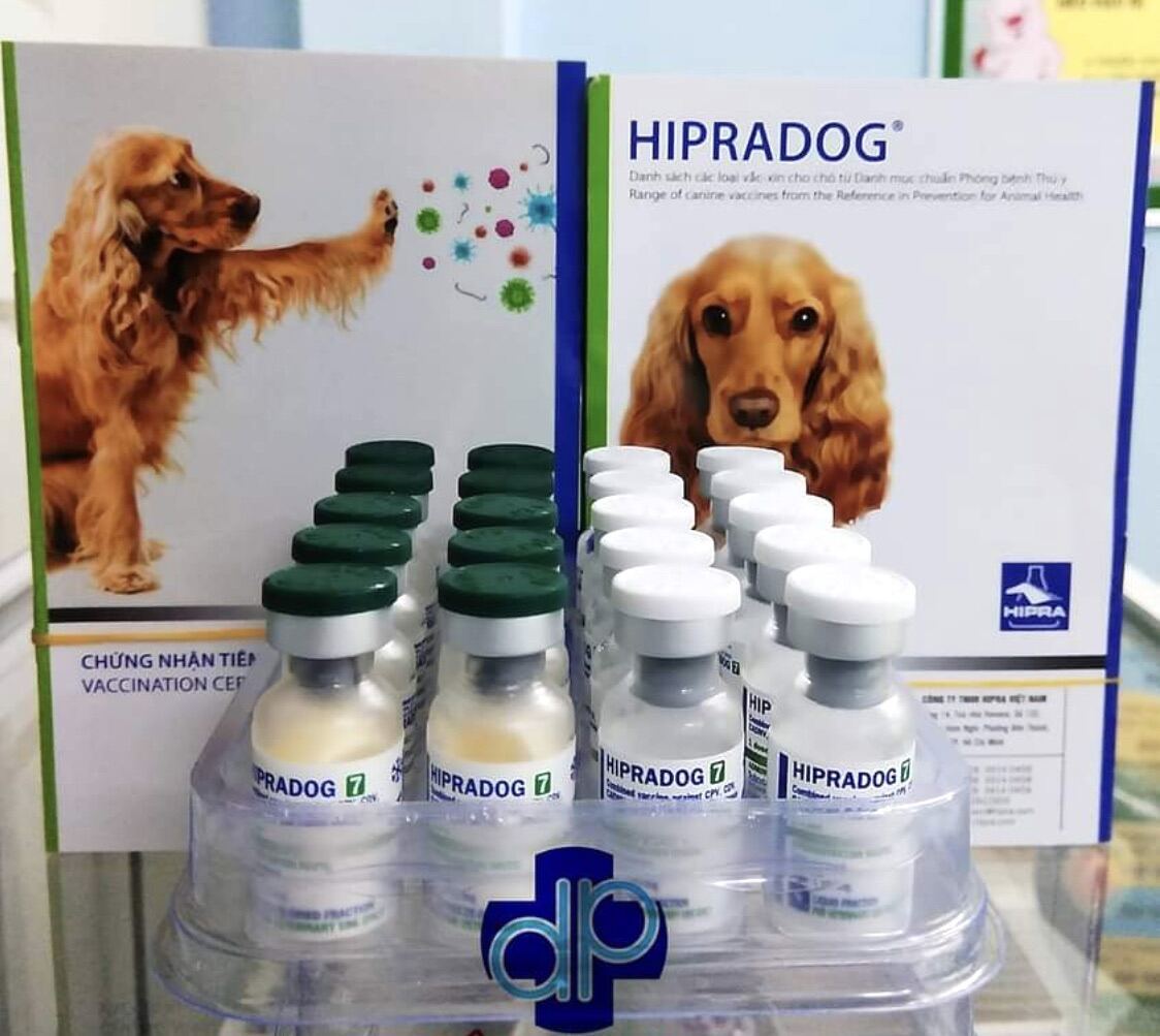 (hàng chính hãng) 1 Liều Ngừa chó 7 bệnh trên 2 tháng tuổi. ( tặng kim, ống tiêm )