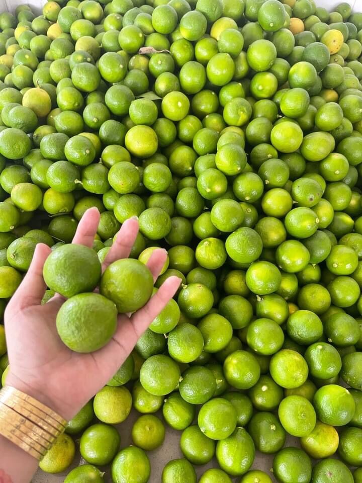 Combo chanh sả gừng đường phèn 800gr