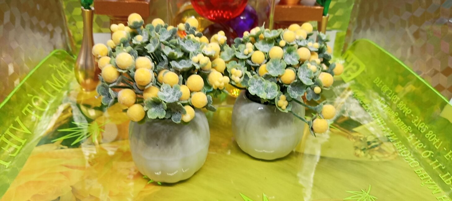 Chậu Cúc phiên bản mini