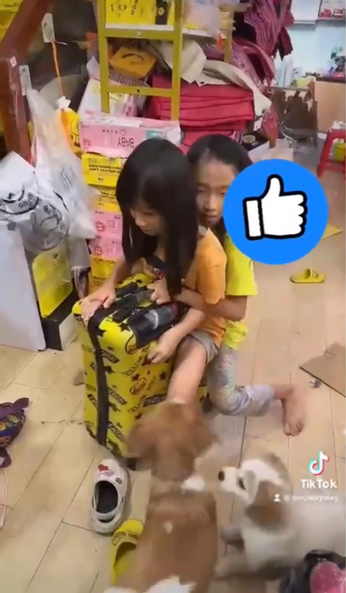 Vali con vịt vàng 24 inch