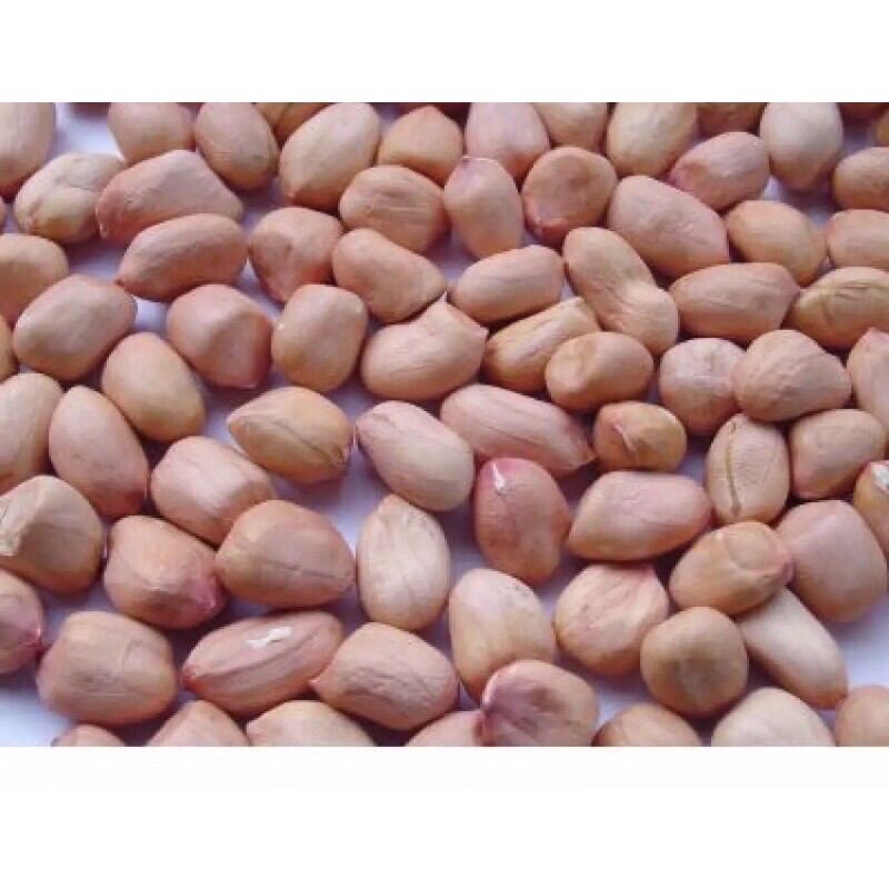 Đậu phộng_ sống 1kg