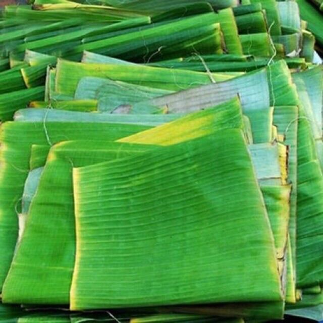 100gram lá chuối tươi gói bánh