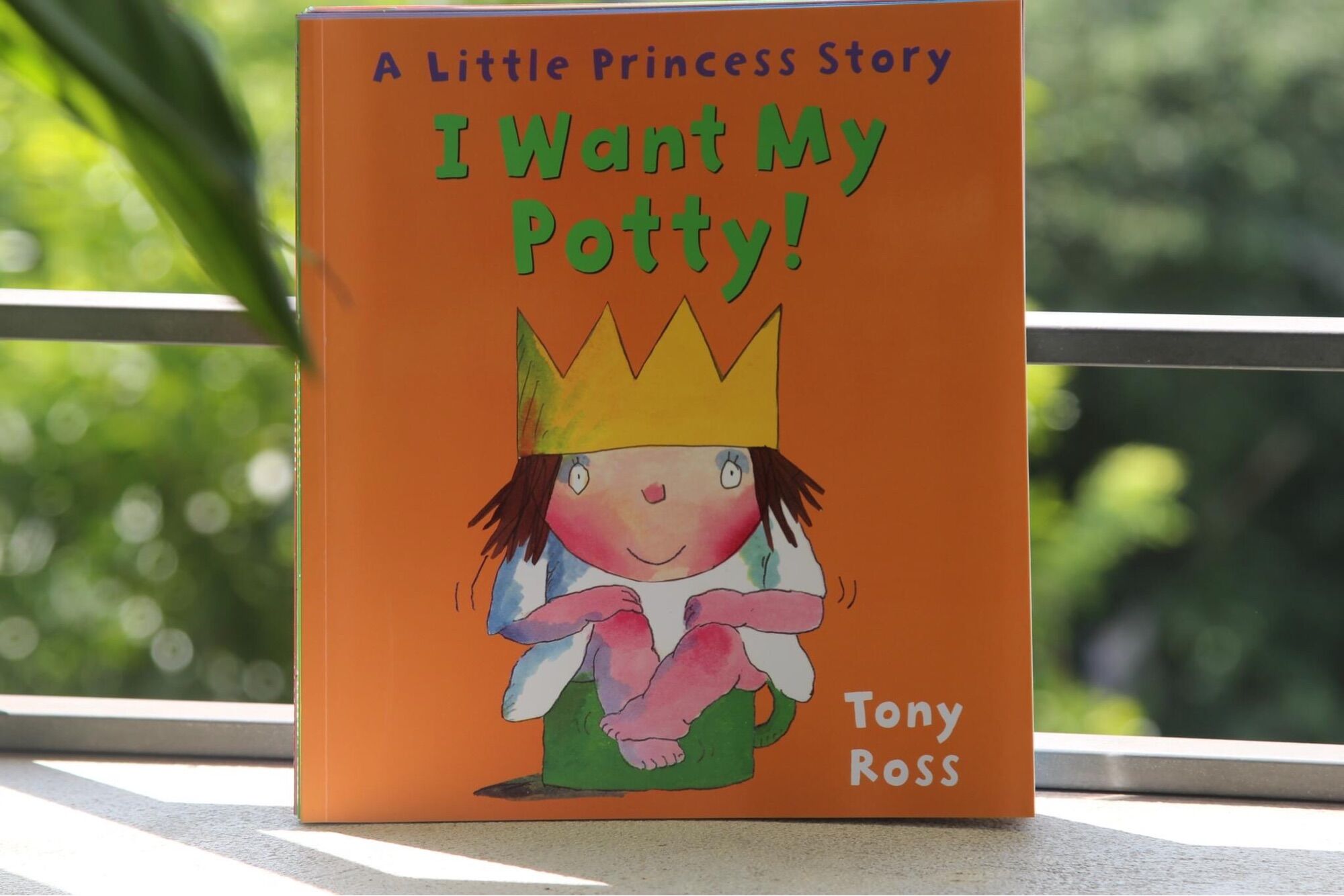 A Little Princess story - 10q