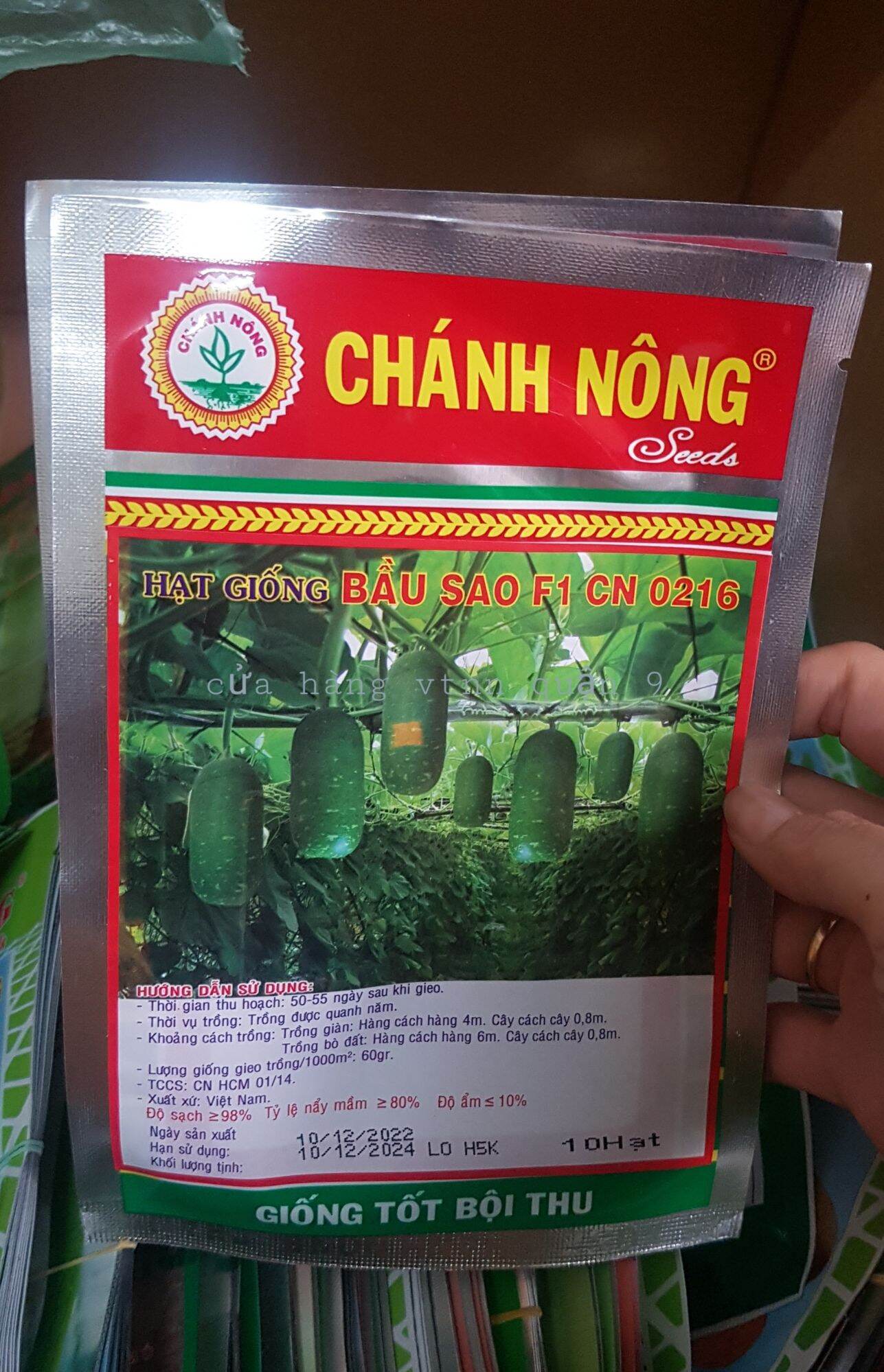 Hạt giống bầu sao ngắn SN(10hạt)
