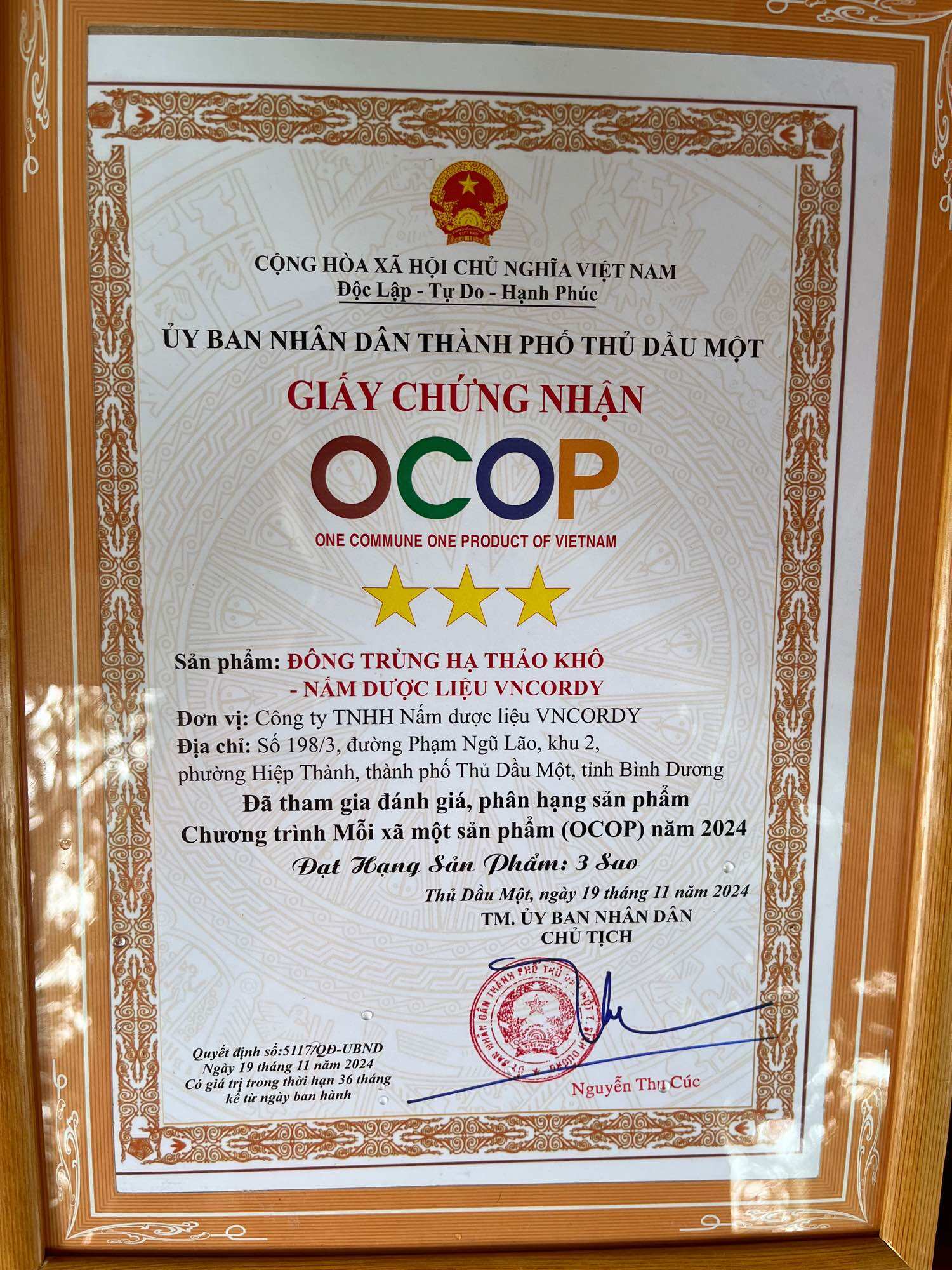 Đông Trùng Hạ Thảo Sấy Thăng Hoa VnCordy 50g - Sức Khỏe Bền Vững Từ Thiên Nhiên