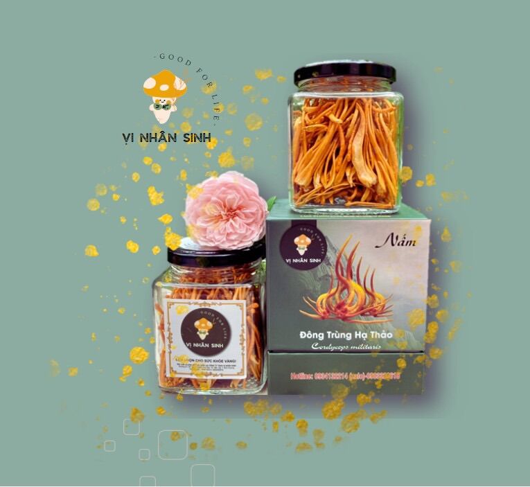 Combo 3 hộp đông trùng hạ thảo khô 10gr