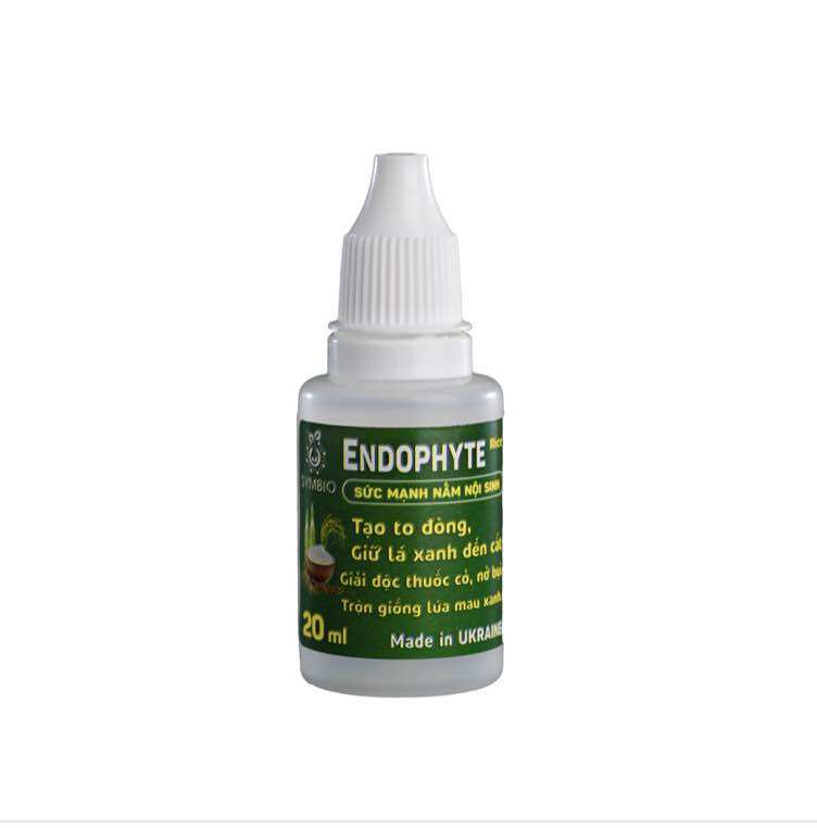 Phân Bón Sinh Học ENDOPHYTE của SYMBIO