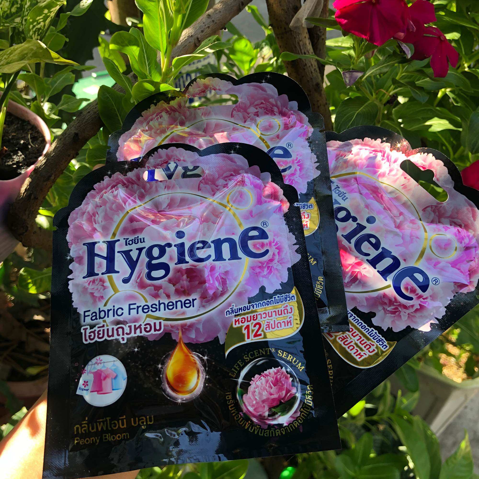 [ Nội địa ] Túi thơm hygiene  đen Thái Lan siêu sang