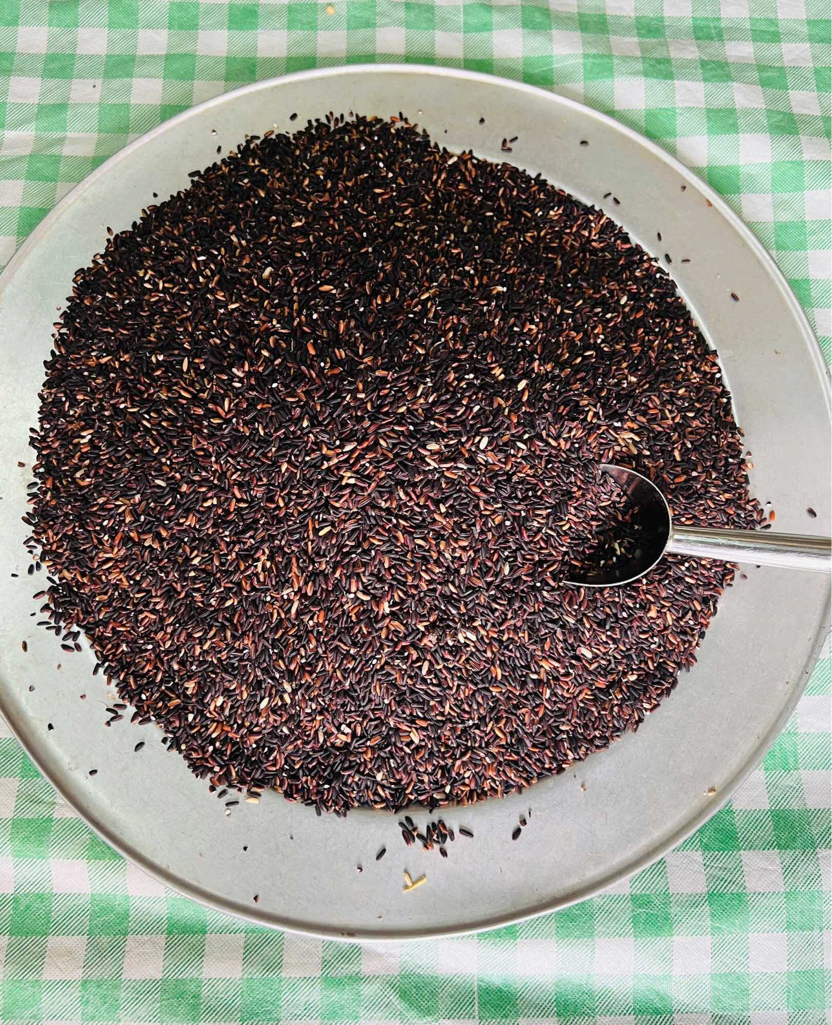 Nếp Cẩm/ Nếp Than Tây Bắc