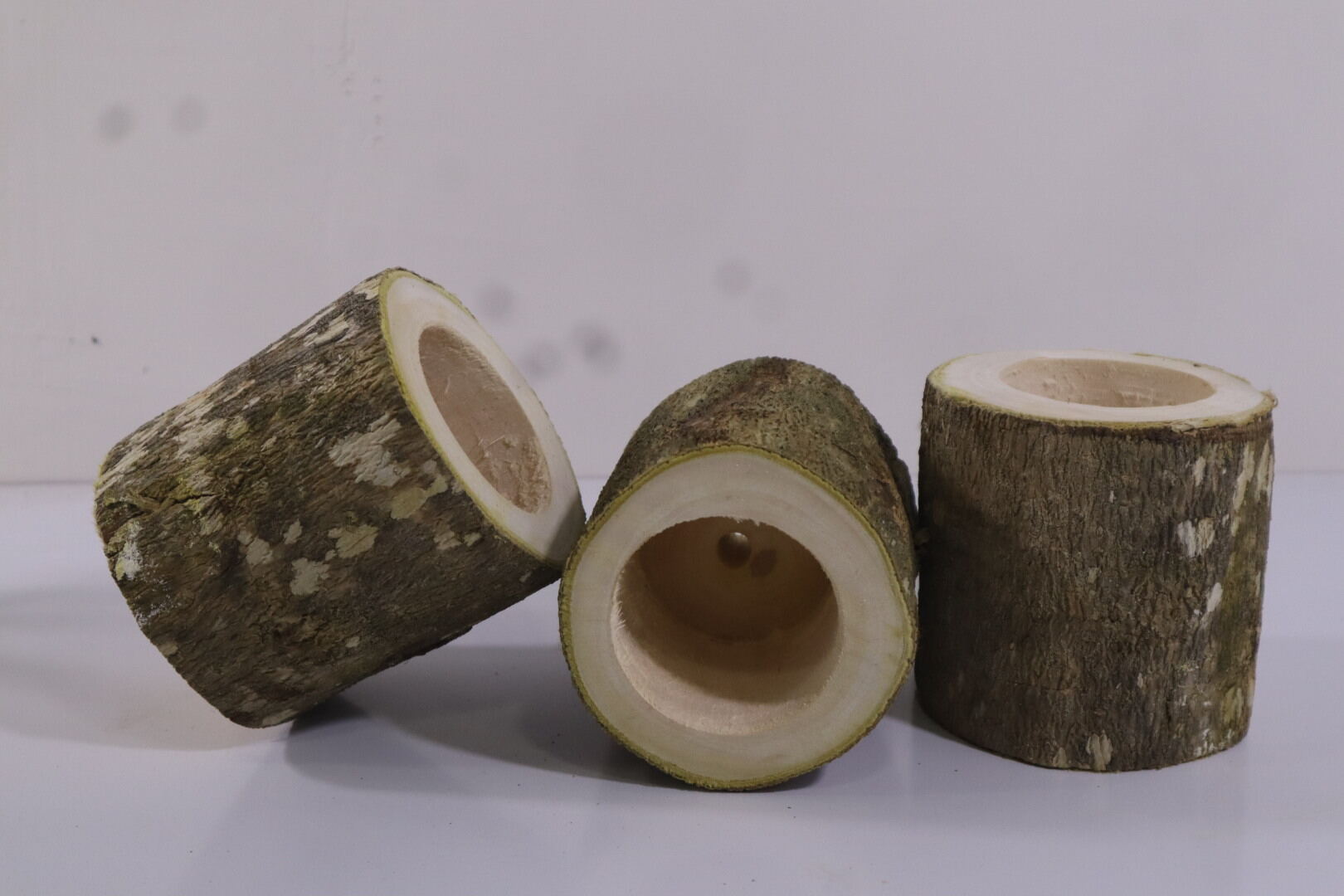 chậu gỗ trồng sen đá mộc mạc